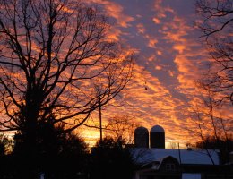 BarnSunset
