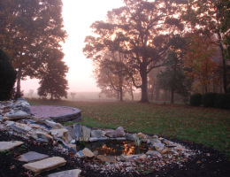 Rockwood Manor Mornings