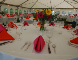 Wedding Venue