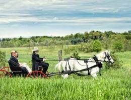 farm_life