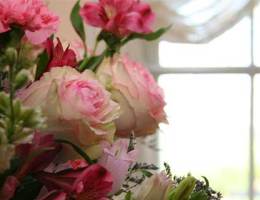 flowers